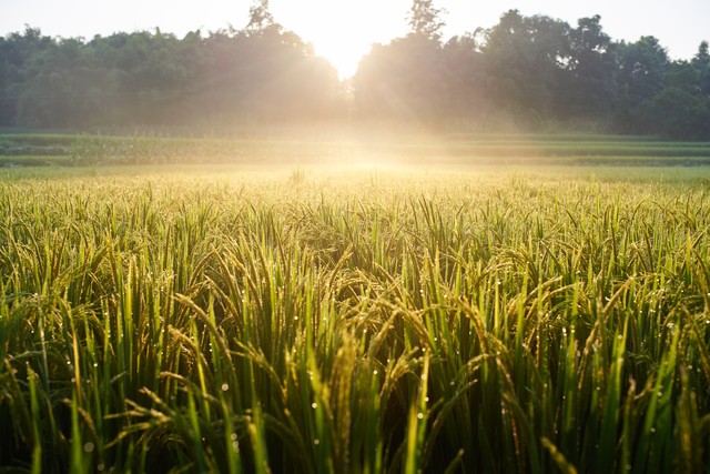 下半年转大运的运势,接下来几年运势大旺