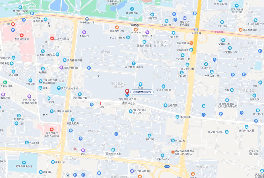 武汉传来好消息,武汉有几条轨道