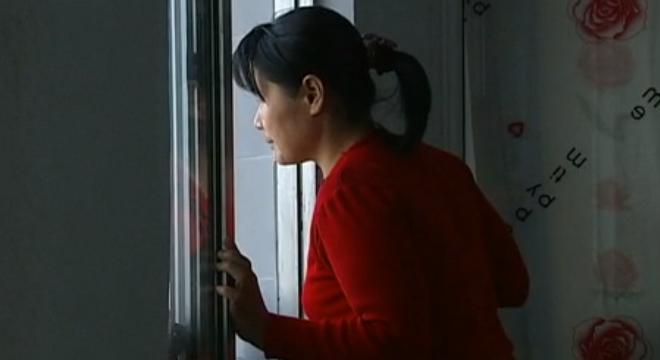 吉林男子救助傻狍子,吉林男子救助动物