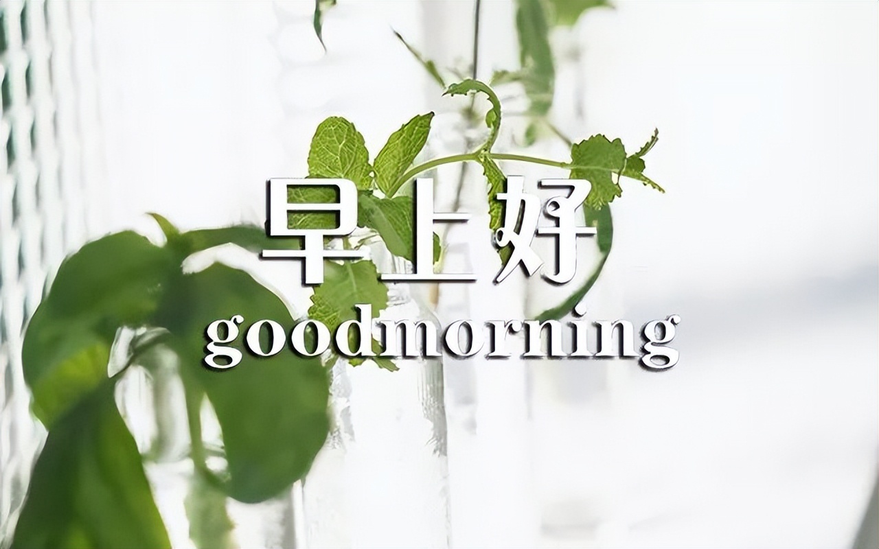 早上好表情包可爱早安问候语,微信群最流行早安表情包