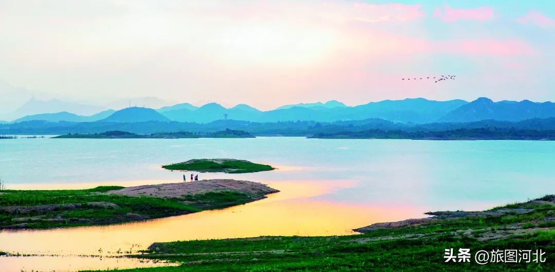 一起出发丨跟着“鸟王爷”去观鸟