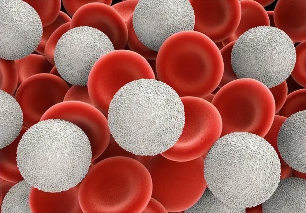 饮水多尿液无色透明正常吗,水喝多了尿像白开水一样正常吗