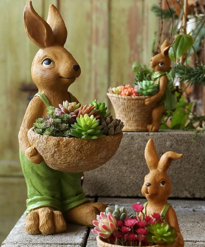 家庭盆景既好养又有观赏价值,各种小盆景大全图片