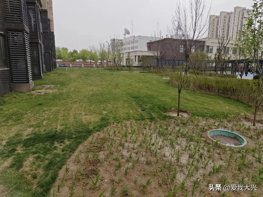 大兴2021年需交付的回迁安置房,北京大兴礼贤二期回迁安置房工程