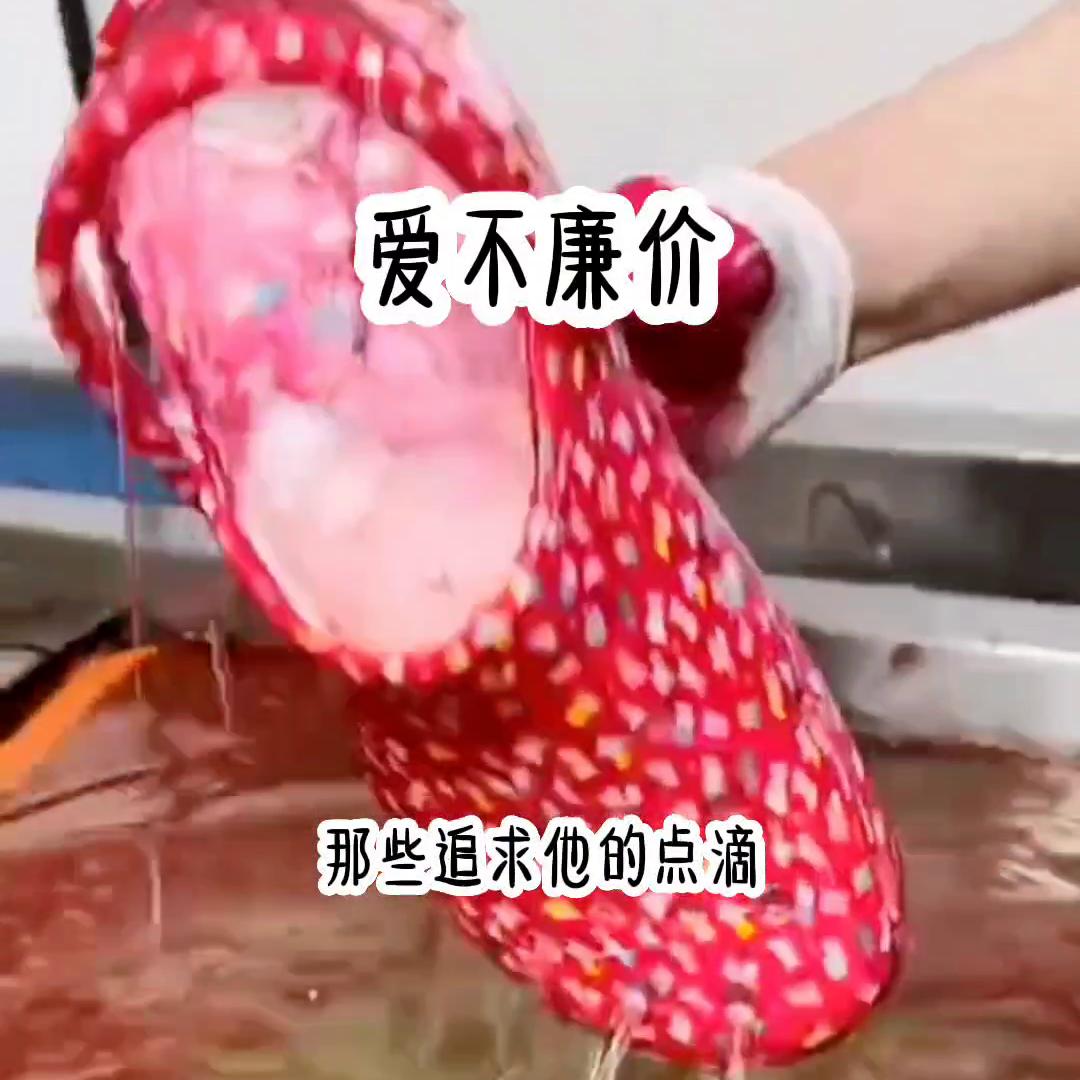 爱不廉价上一句是什么,爱不廉价小说