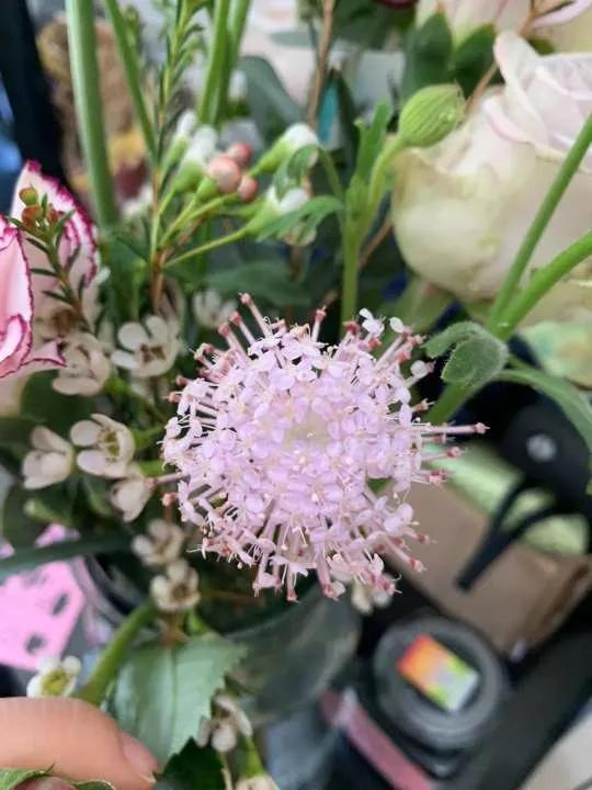 岁月斑驳留下来的都是静好时光,岁月斑驳愿时光静好