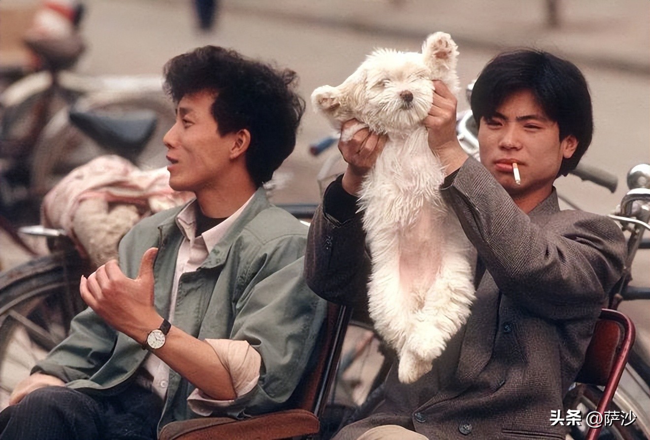 两个中年女人离奇失踪案,女老板离奇失踪完整视频