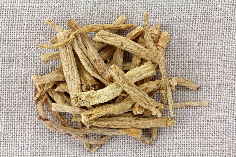 黄芪泡水的危害及副作用,黄芪伤肾坚持喝黄芪泡水危害多