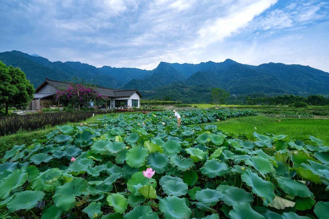 特色小镇的细节设计,生态旅游型特色小镇节能报告案例