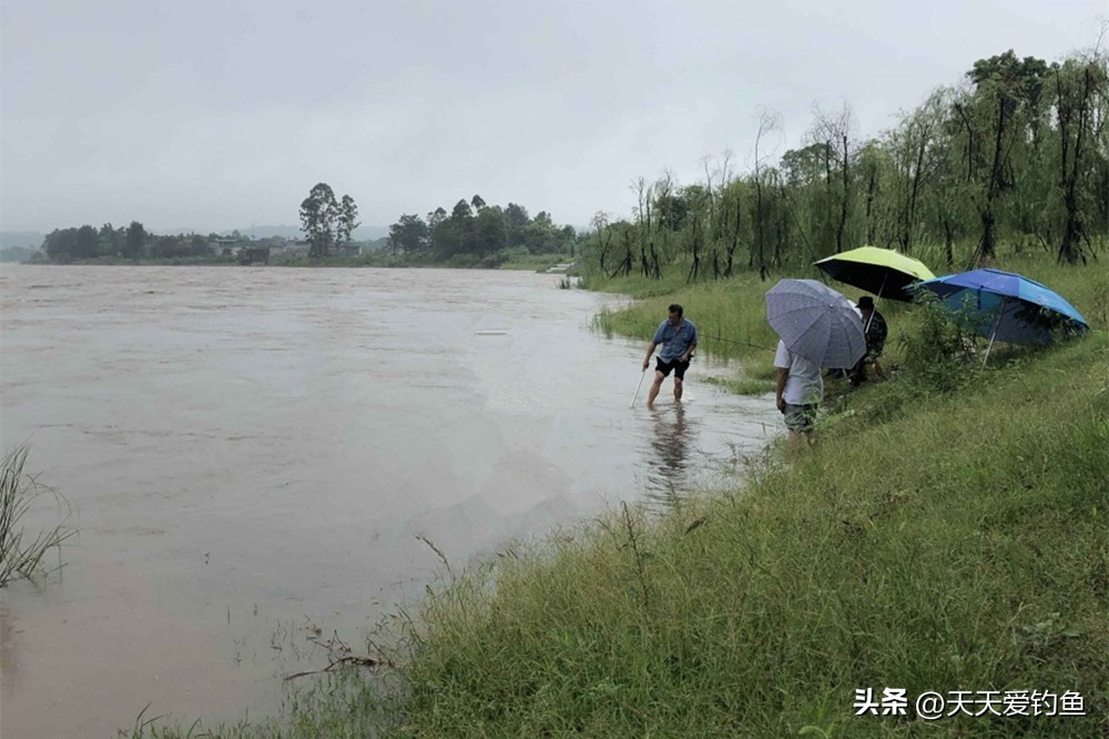 雨天鱼离底吗,雨天鱼怎么挑选好的呢