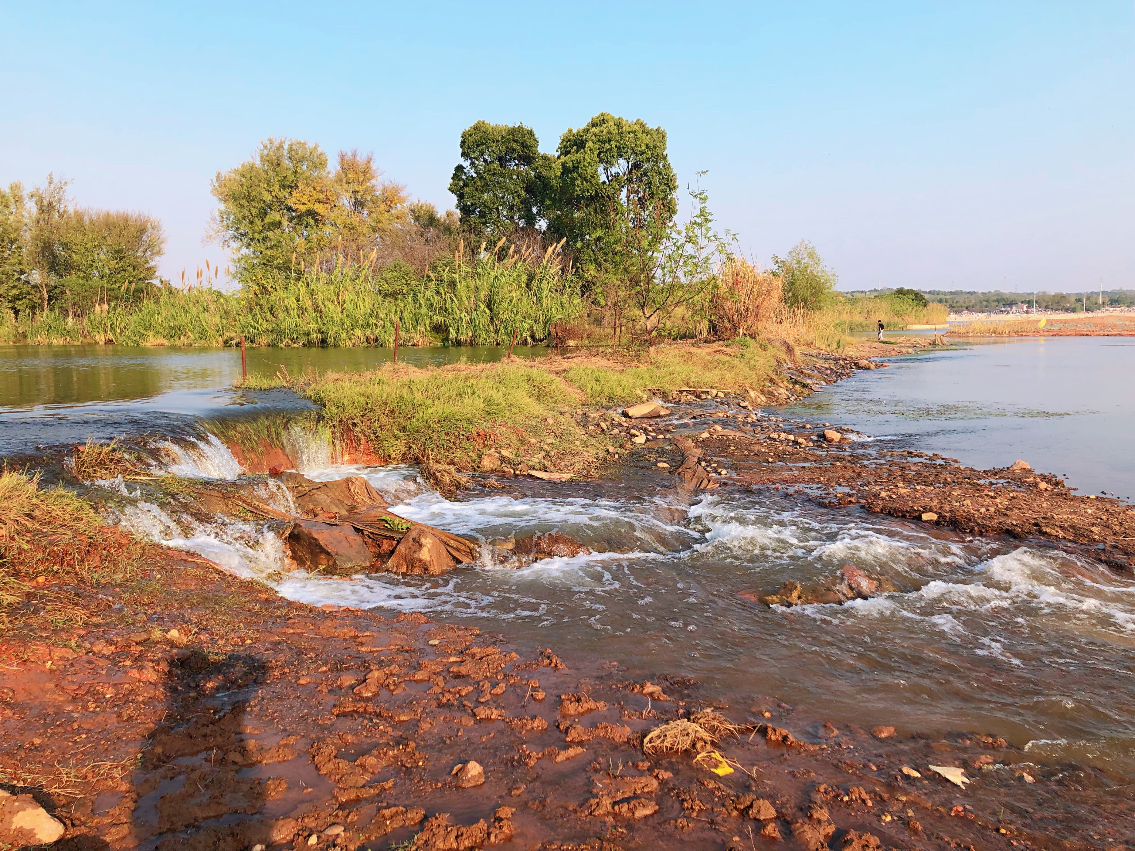 海滨松雅湖湿地公园,2020年长沙松雅湖湿地公园