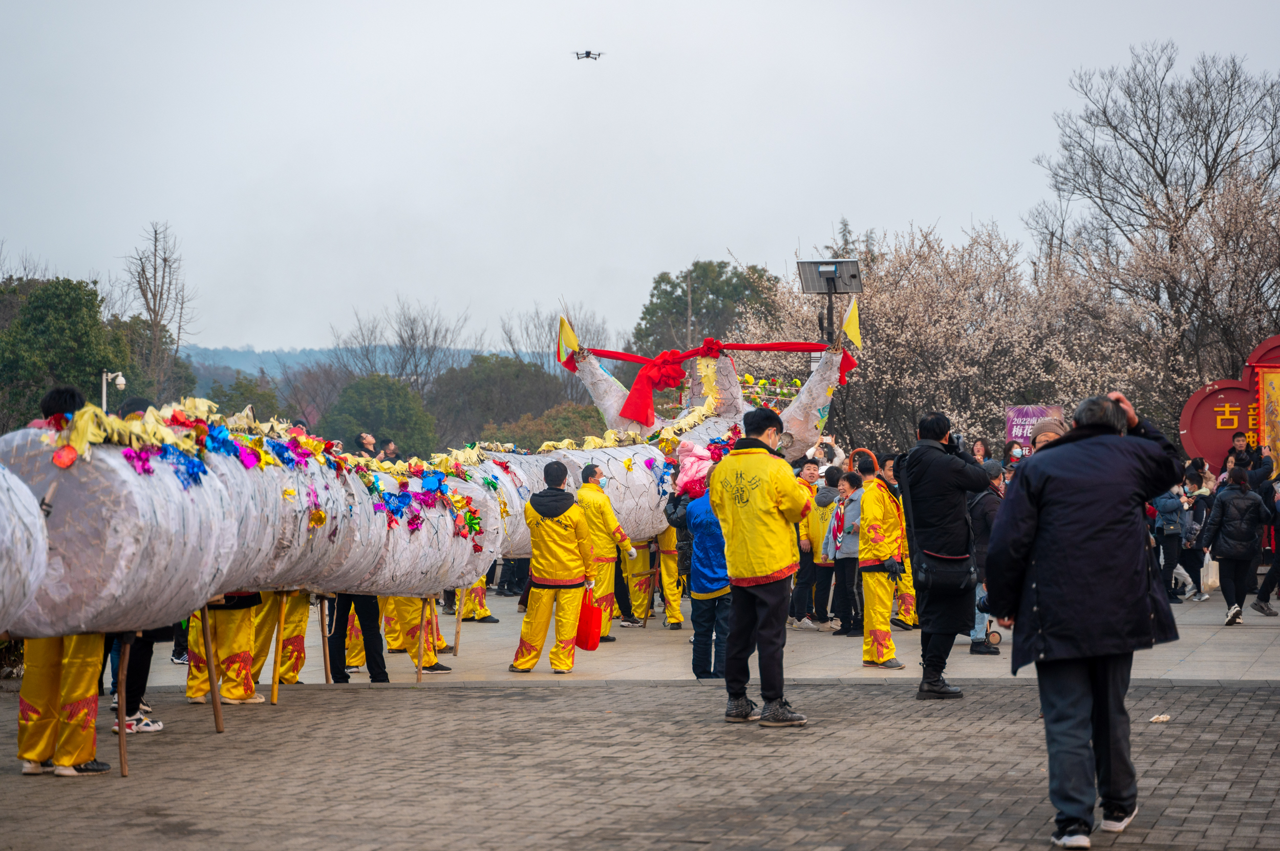 金陵梅花山,南京梅花山赏梅