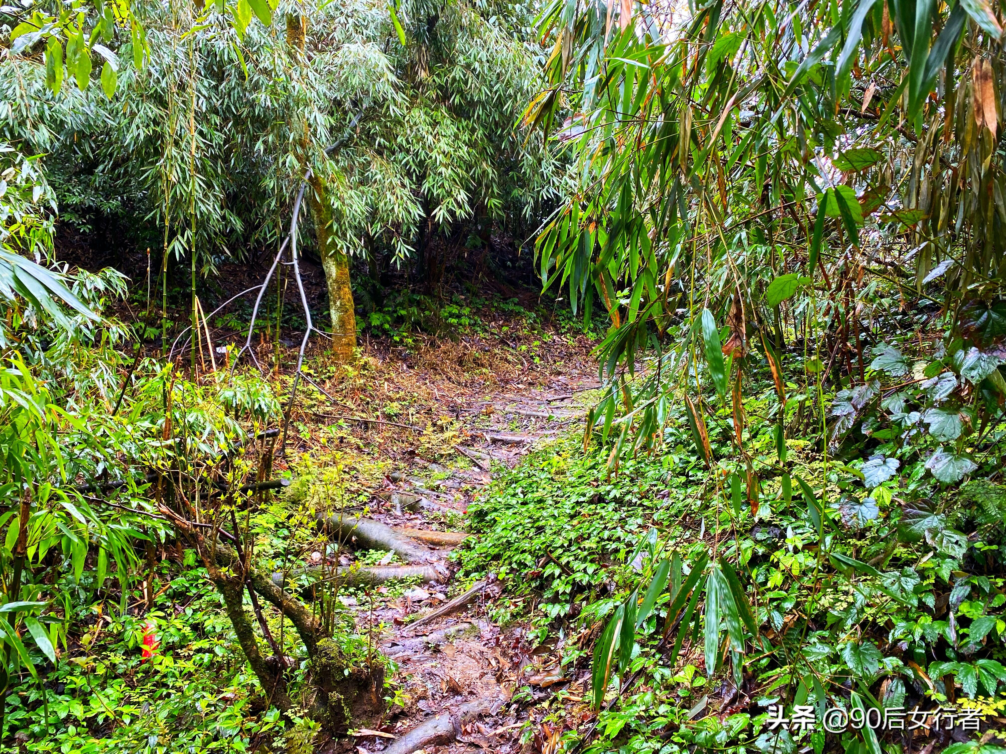 雨天徒步十里长山凹,走进大自然翻山越岭户外徒步