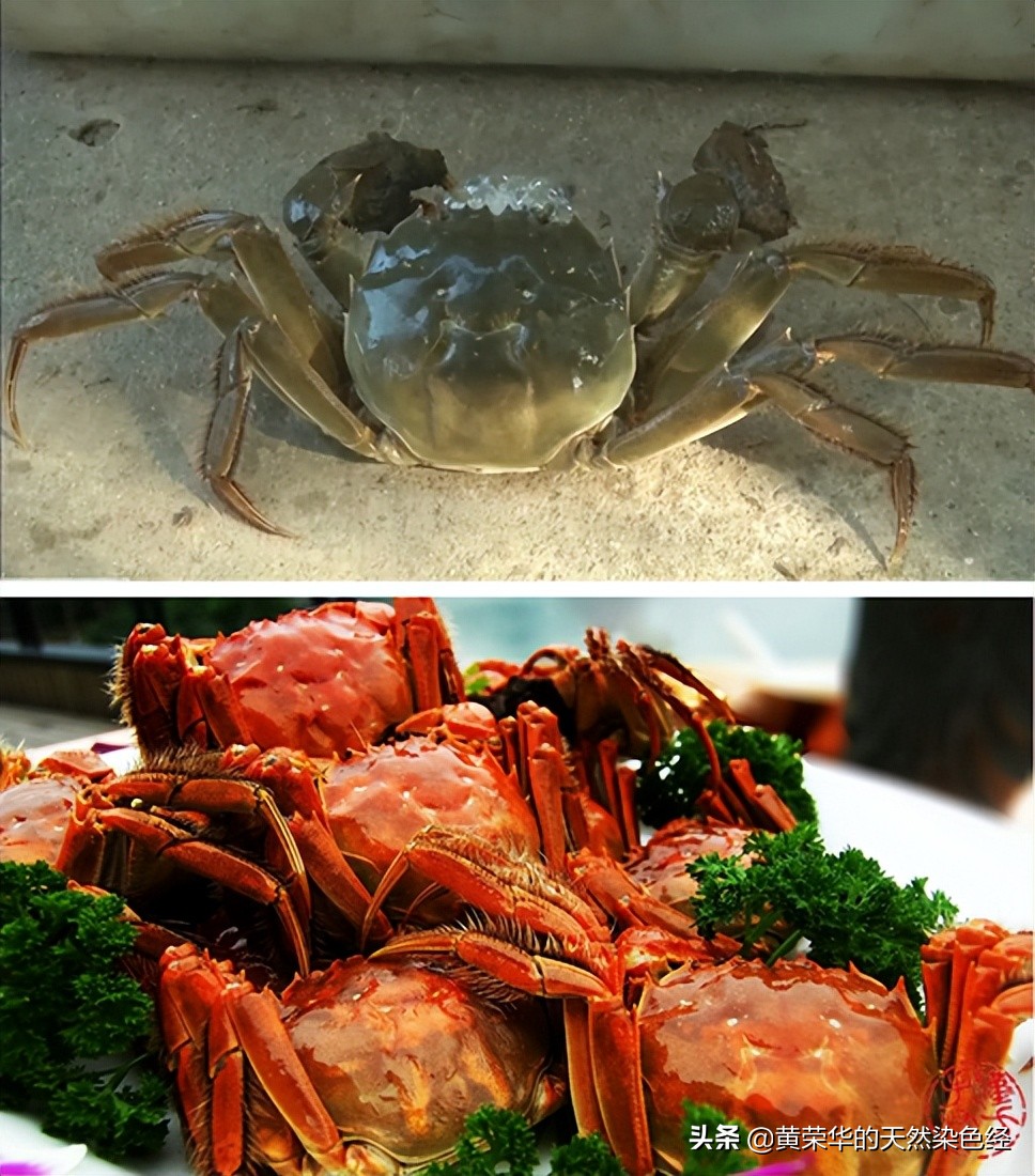 蟹壳红传统色,蟹壳黄传统色