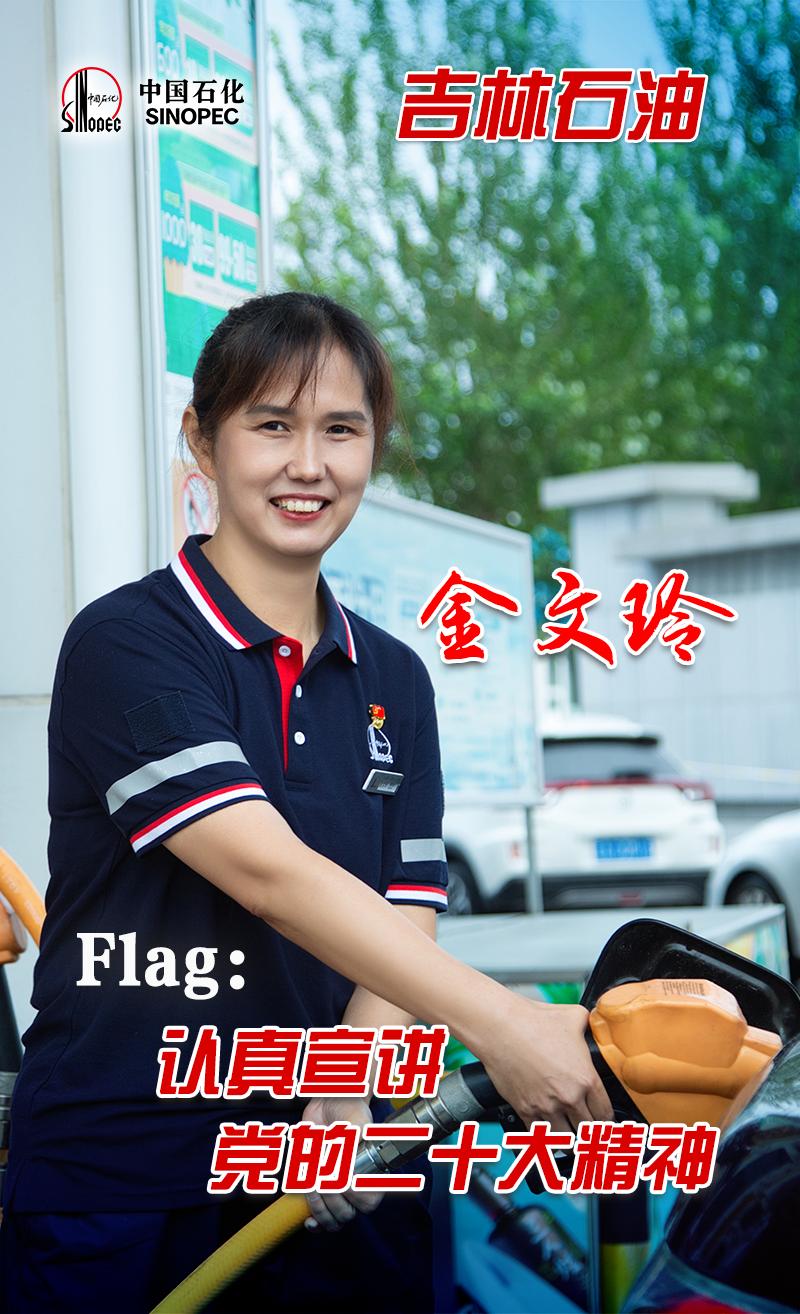 中国石化企业的现状,中国石化国内最新项目