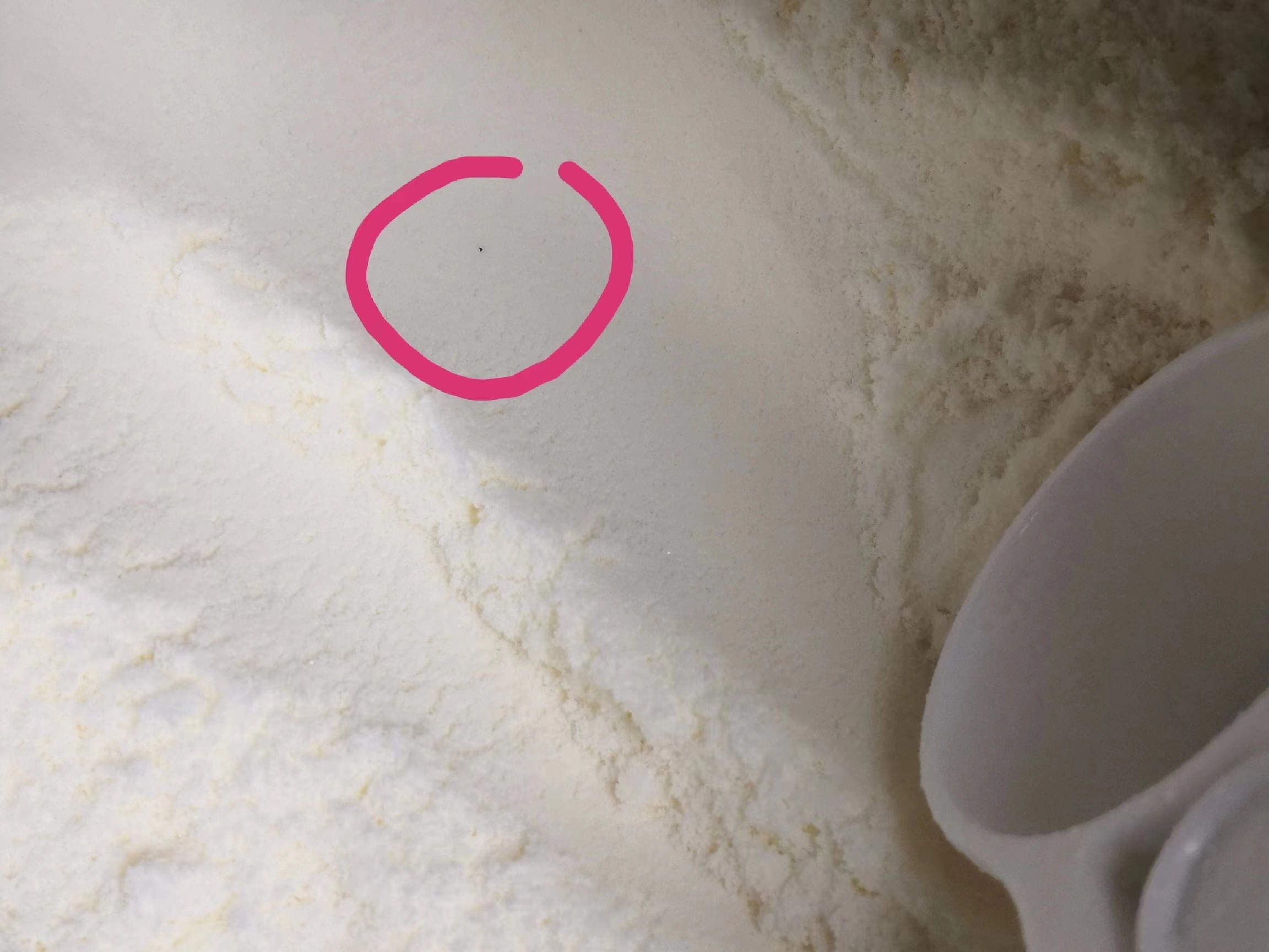 贝因美奶粉里有红色小颗粒能喝吗,贝因美奶粉会导致宝宝早熟吗