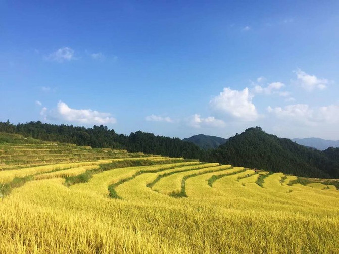 我们联袂与民宿设计专家张二青演绎谱写和美乡村建设的华章
