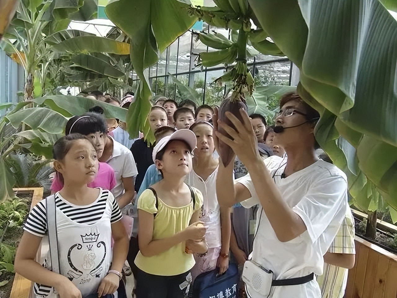 农业发展温室大棚的优点,田园综合体蔬菜大棚