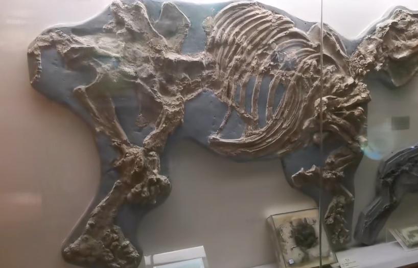 郑州室内旅游攻略必去景点,郑州景点室内游玩攻略