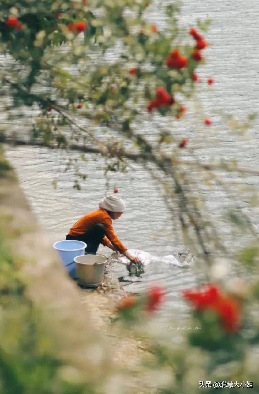 一场烟花登顶热搜！满城美食火成顶流，这座夏日小城太宝藏了！