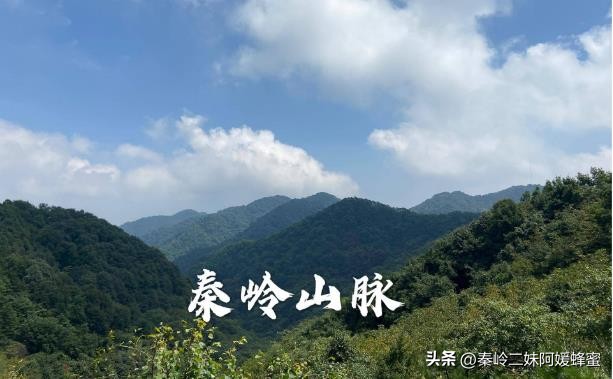 为什么超市的蜂蜜不能买,现在超市里蜂蜜那么便宜是真的吗