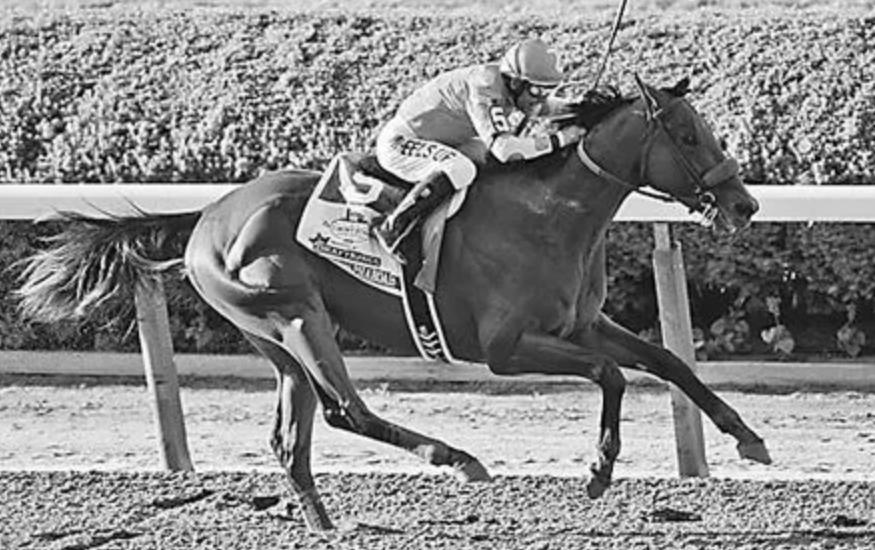 赌王叶汉的赌术有多厉害,澳门最出色的赌圣