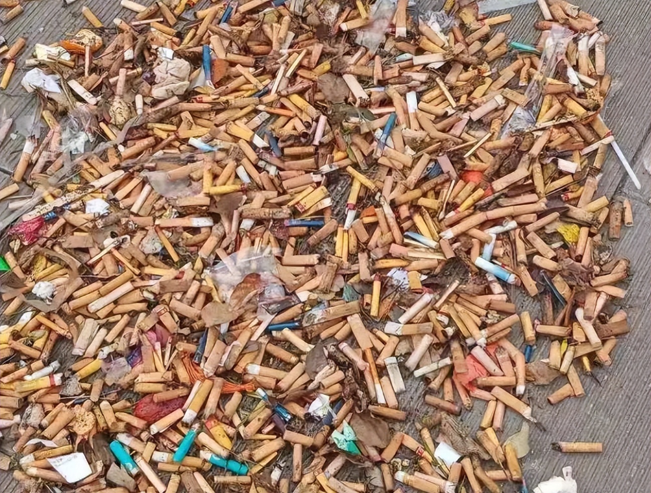 日本收集中国烟头是真的吗,日本收烟头干啥