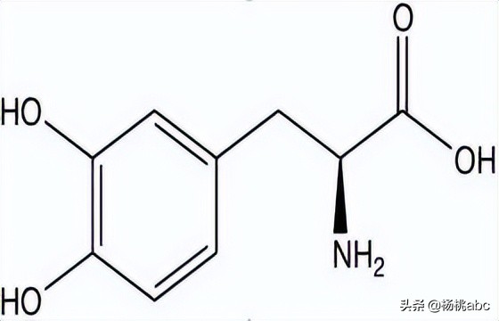 夜宵海鲜高蛋白,晚上夜宵吃什么海鲜不发胖