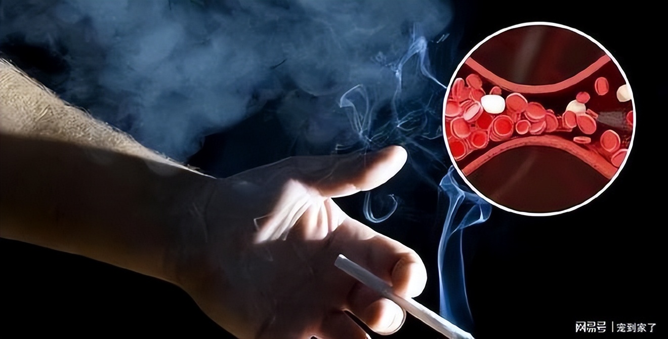 男生有的鼻毛长到外面有什么说法,鼻毛往外窜的男生是怎么回事