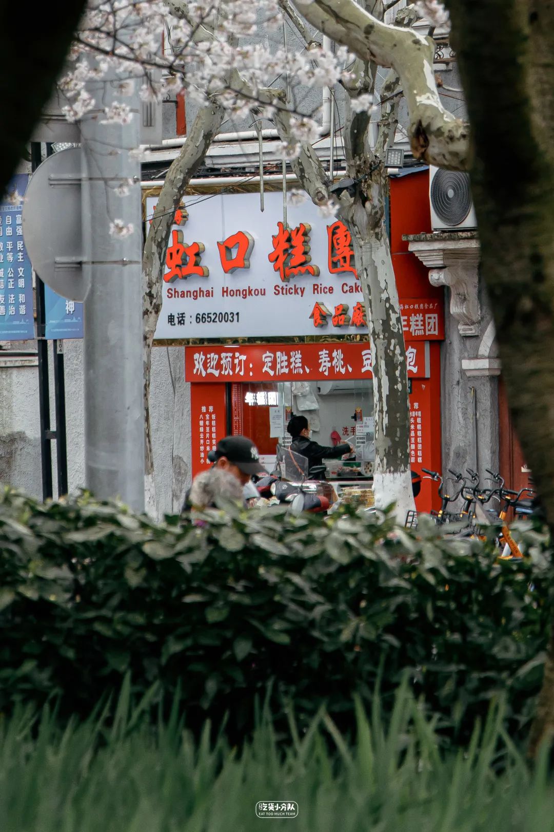 樱花最旺盛的时间,樱花最茂盛的时候是哪个季节