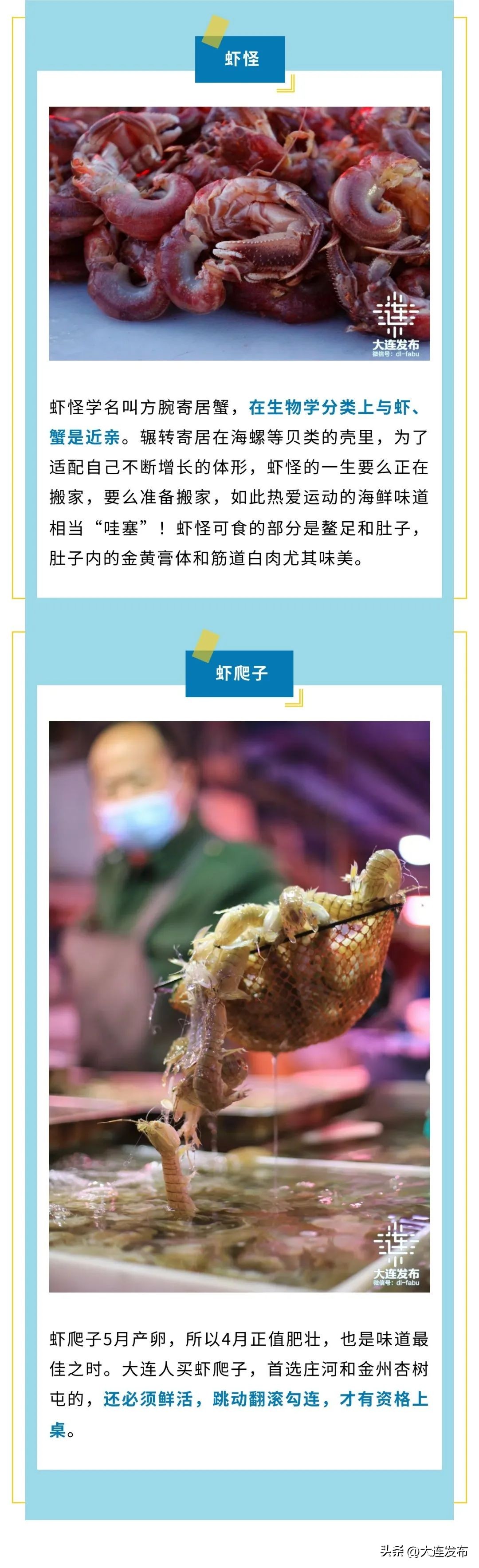 实现海鲜自由的秘诀,实现海鲜自由另一种说法