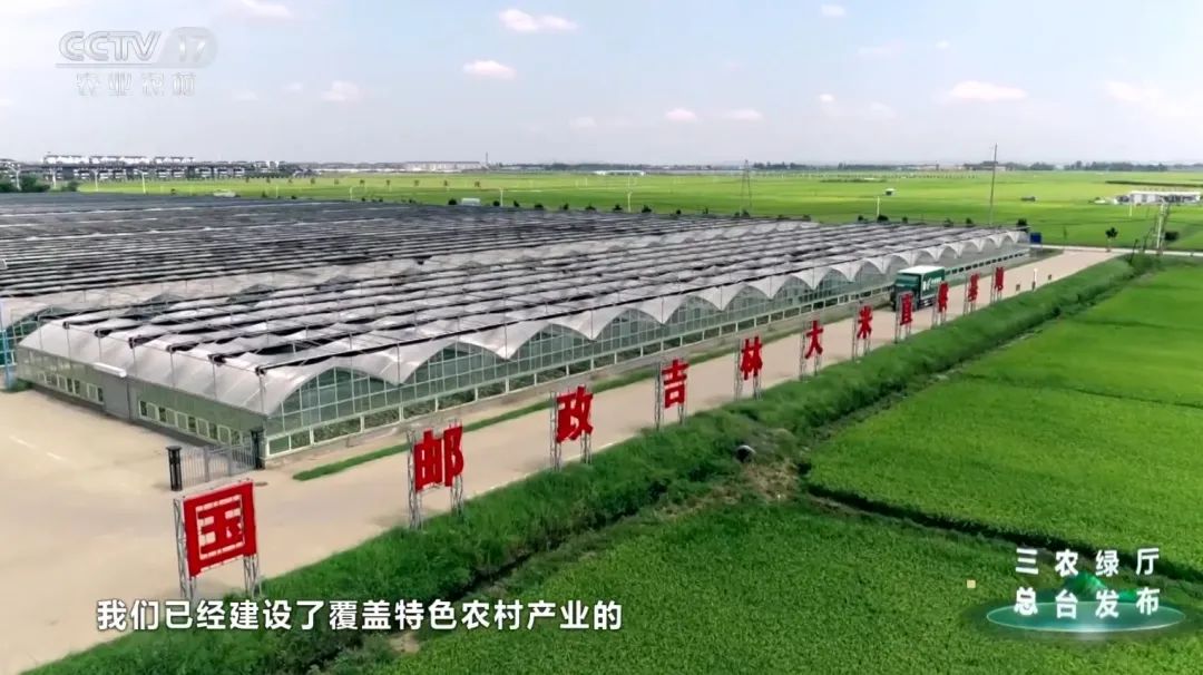 在绿色的邮政挖呀挖呀挖→