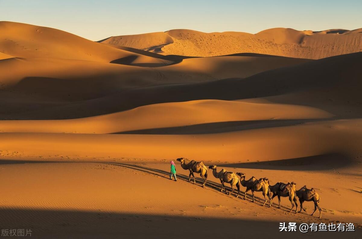 长期坚持一只股反复做t可行吗,长期持一只股做t经验分享