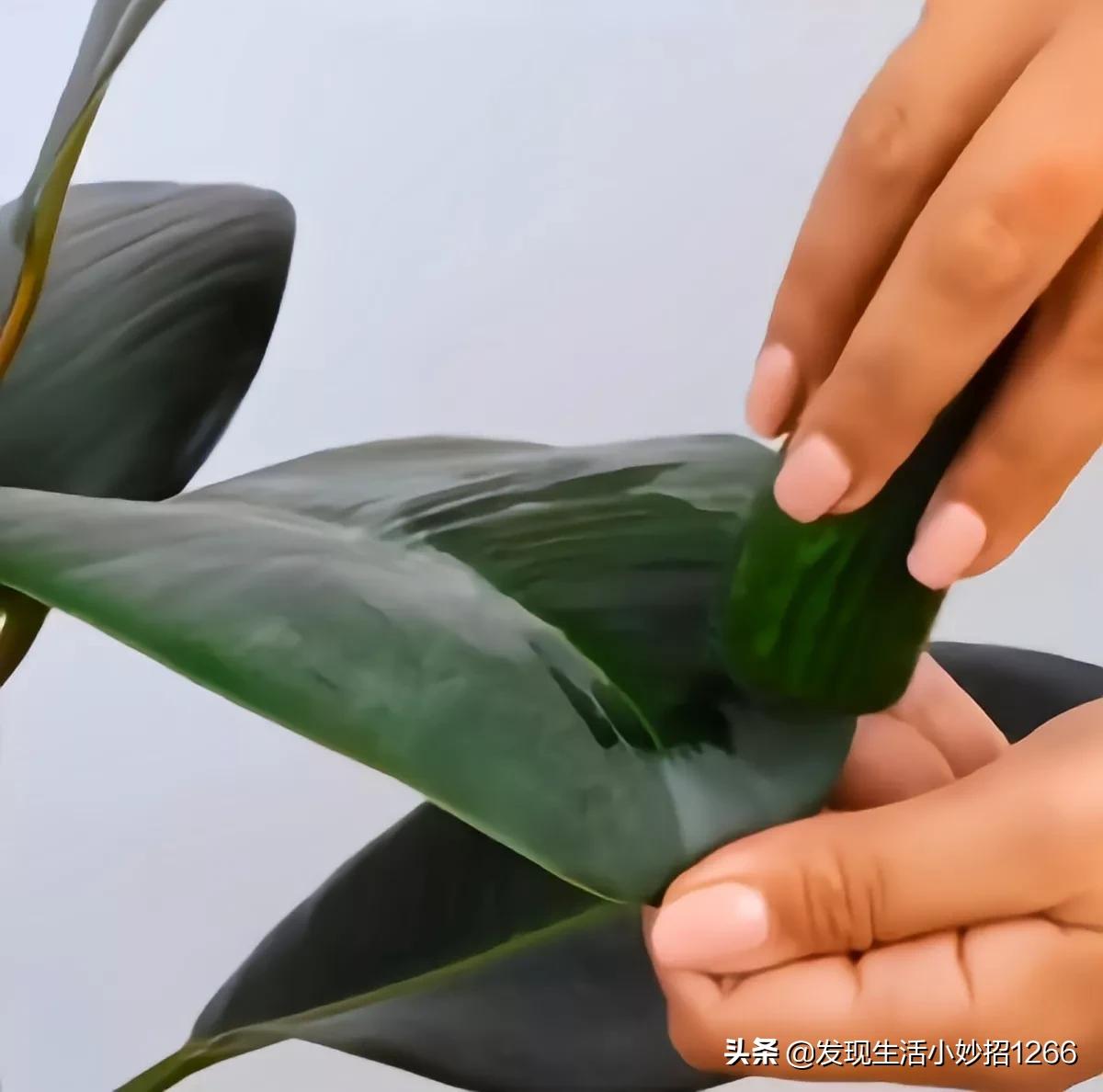 啫喱水加牙膏可以去除衣服油污吗,衣服上有油渍用牙膏怎么去除