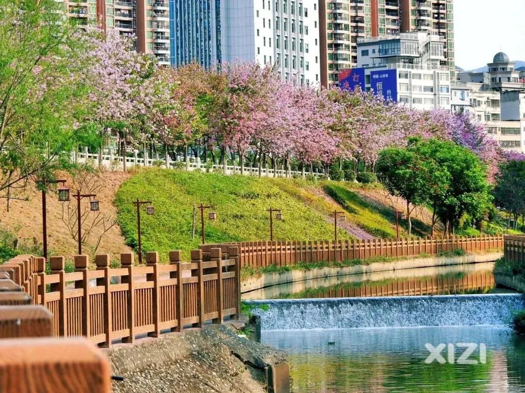 惠州周边踏青好去处推荐来啦,惠州18公里环湖绿道攻略