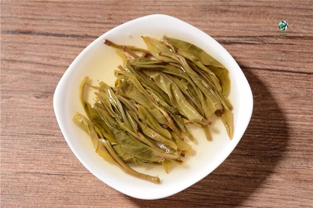 昔归茶为什么苦涩,昔归茶的寓意是什么