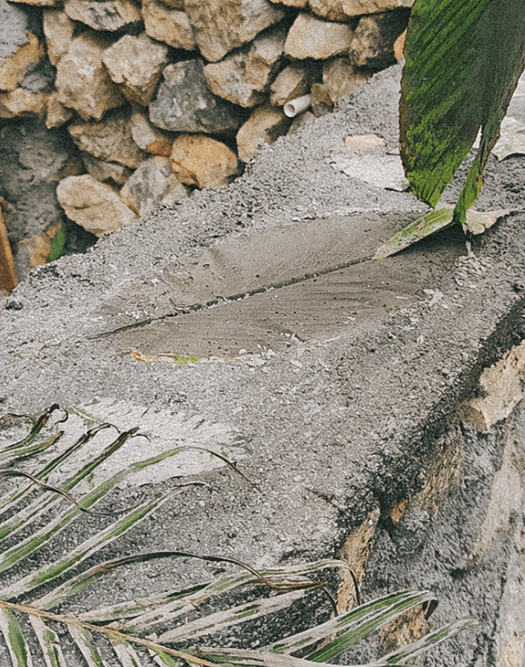 逃离考研考公985大学生疫情后开民宿从投资百万到负债累累