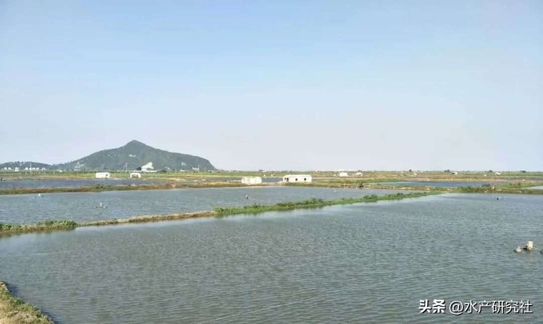 高铁酸钾跟高锰酸钾什么区别,高铁酸钾与高锰酸钾如何区分