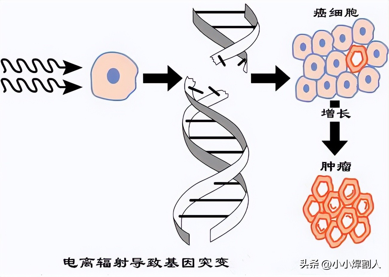 泥瓦工捡到“小铁块”,结果全家三人丧命,致141人受伤…