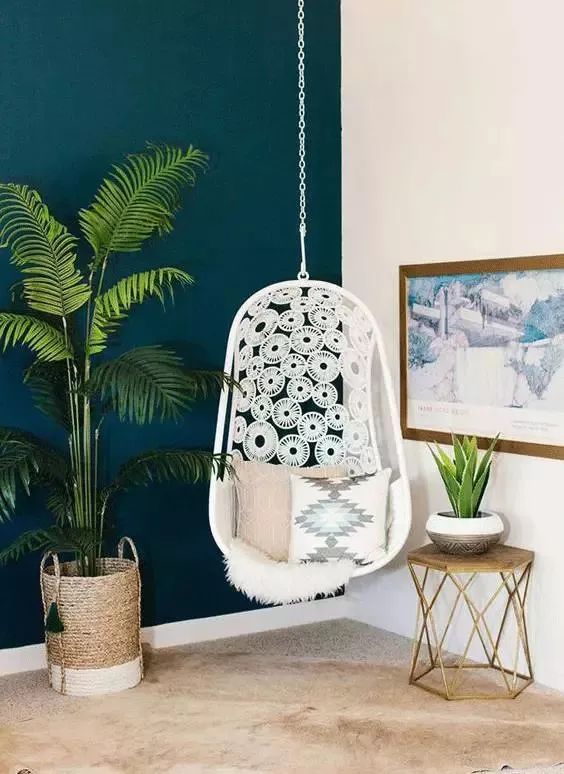 吸甲醛超强的十五种植物,新房如何种植去甲醛植物