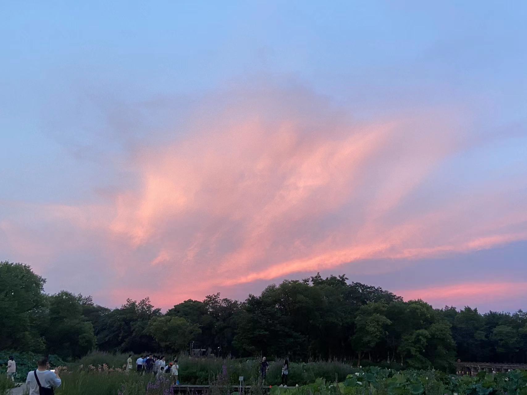 家里被虫咬又痒又痛,被虫子蛰了很痒