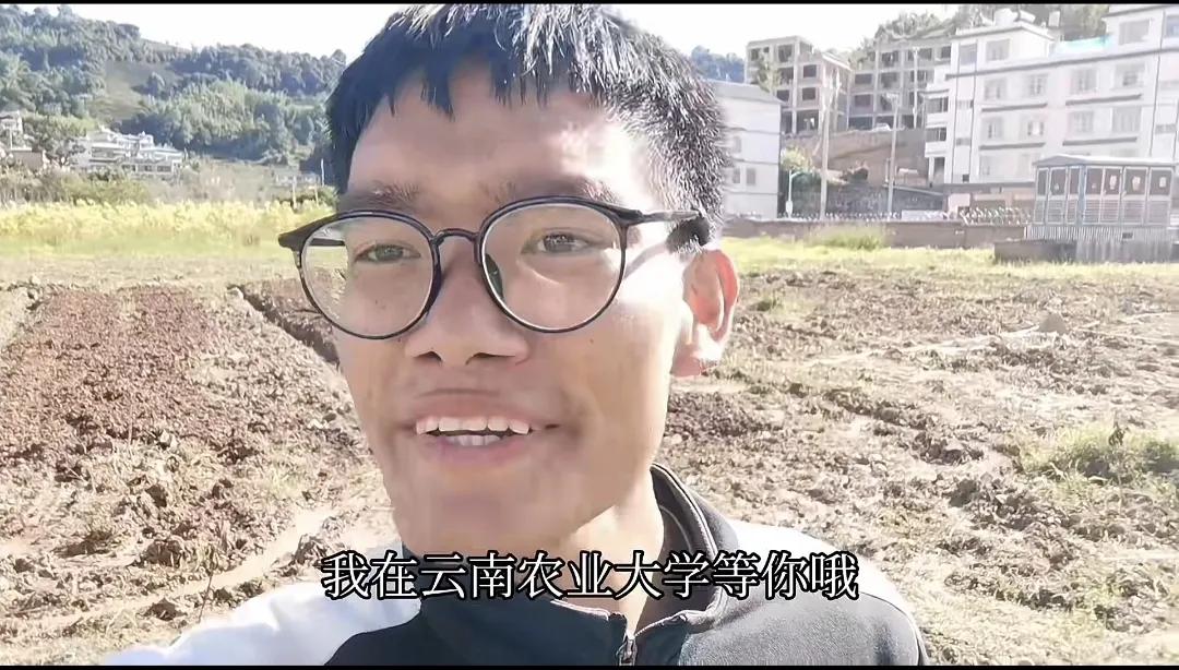 云南农大丁同学,云南农大丁同学最新消息