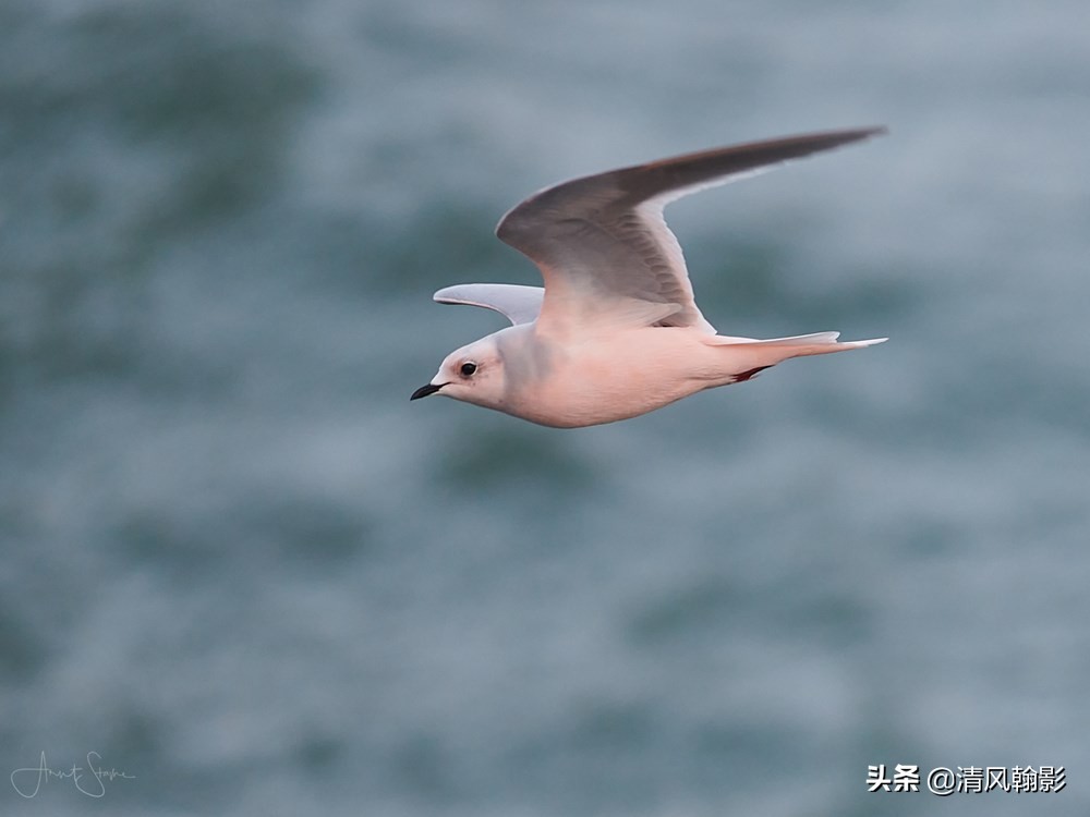 尼康d850拍照有多强,摄影器材篇尼康d850