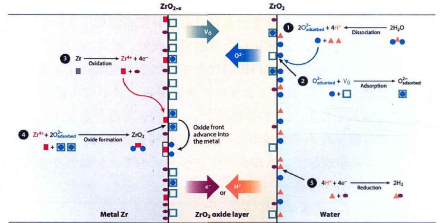 基于同步辐射的锆合金氢化物析出研究