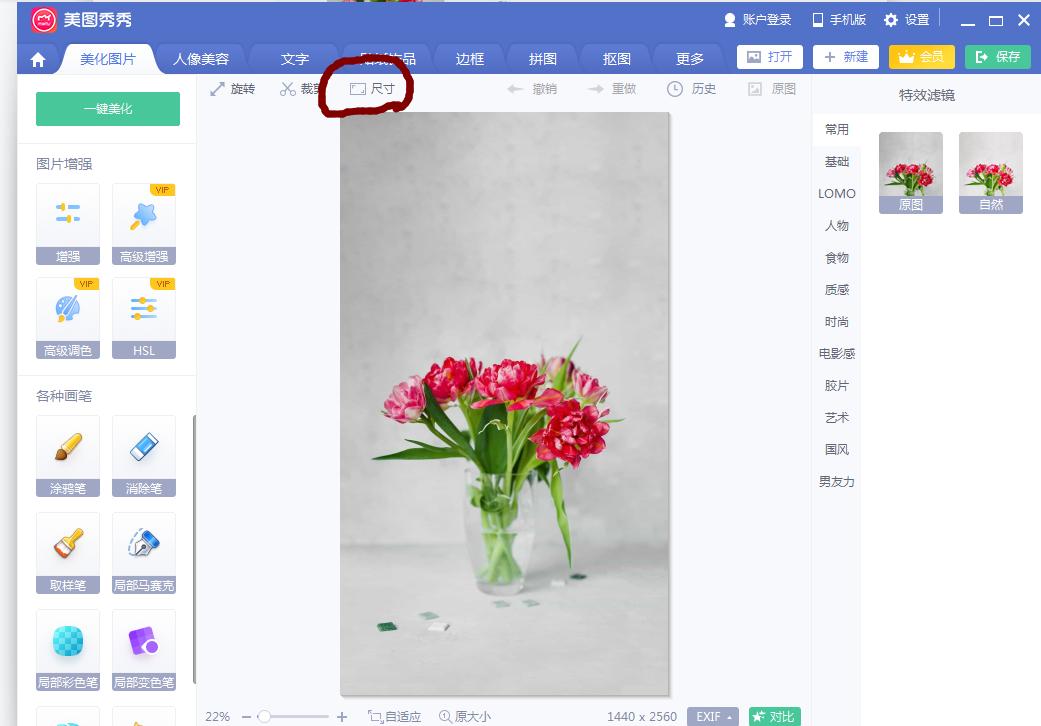 处理证件照流程ps,不用的证件照怎么处理最妥善