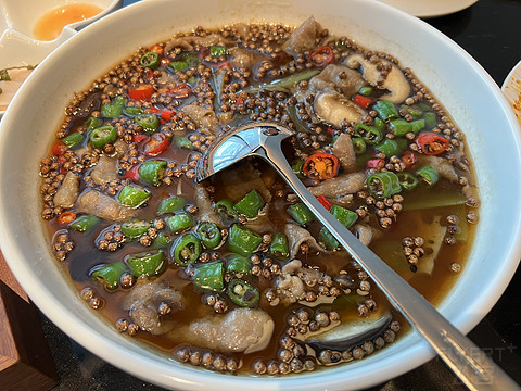 窗含西岭千秋雪成都环球中心雪山,窗含西岭千秋雪魅力成都