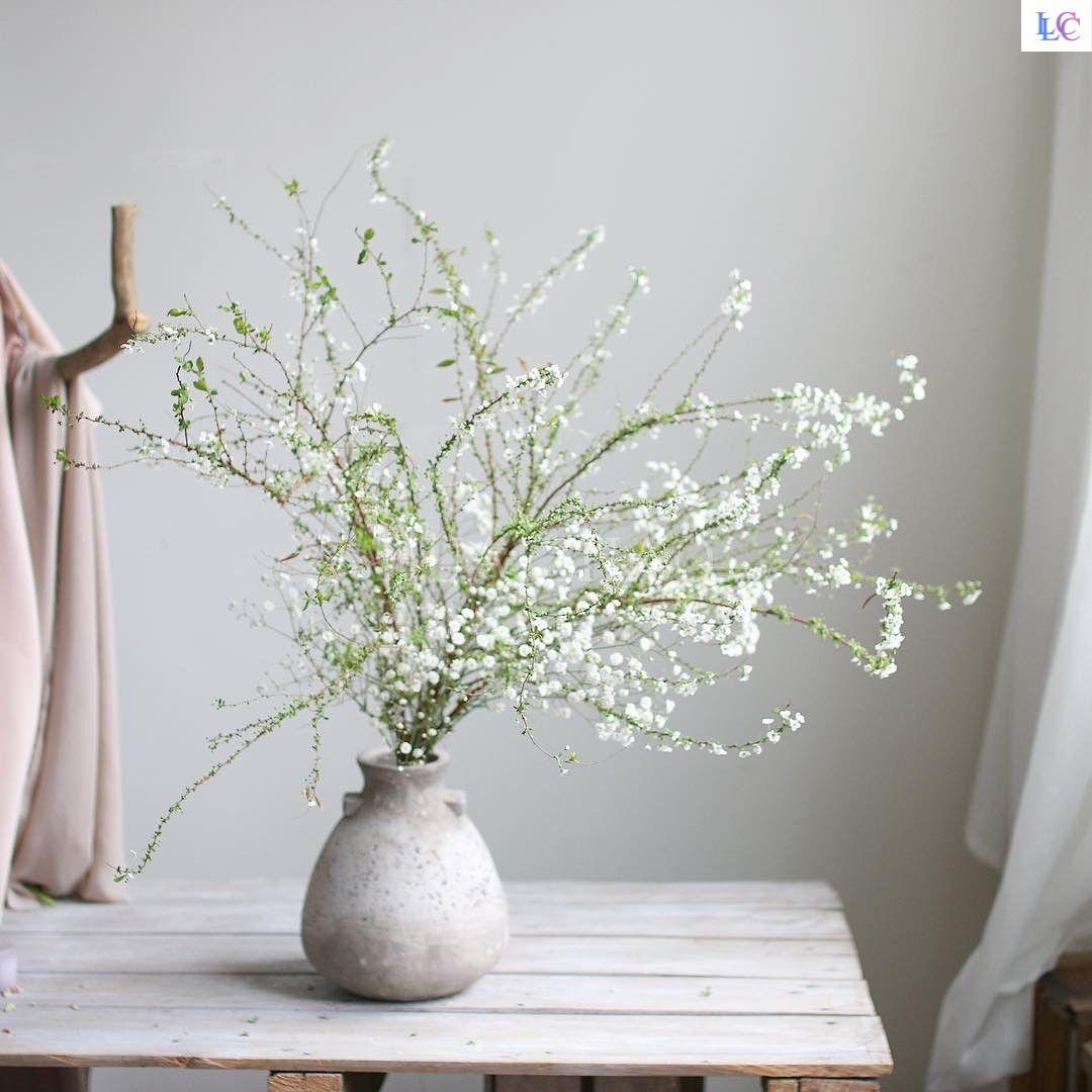 百花齐放春意浓群芳争艳,百花齐放喜迎新春