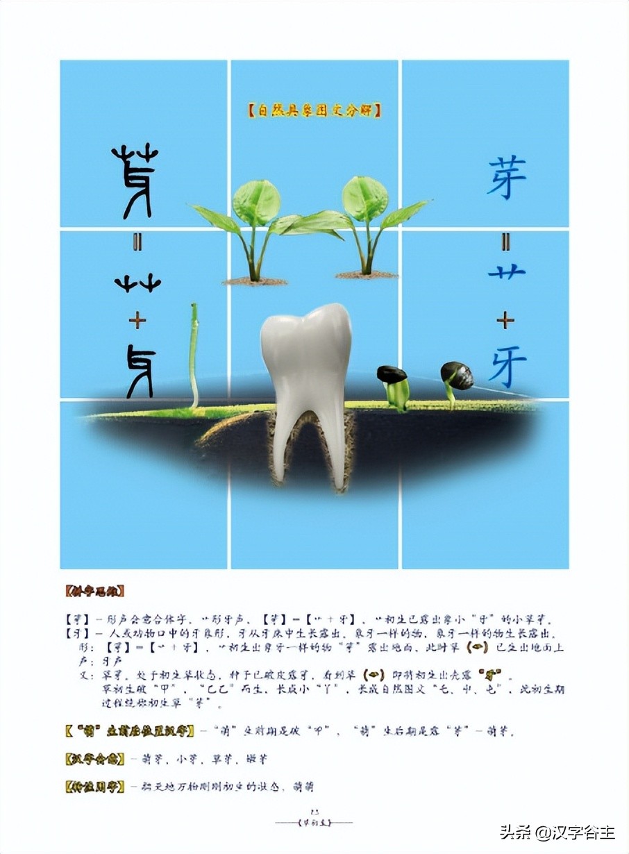姹夊瓧妞嶇墿,鑽夋湪姹夊瓧