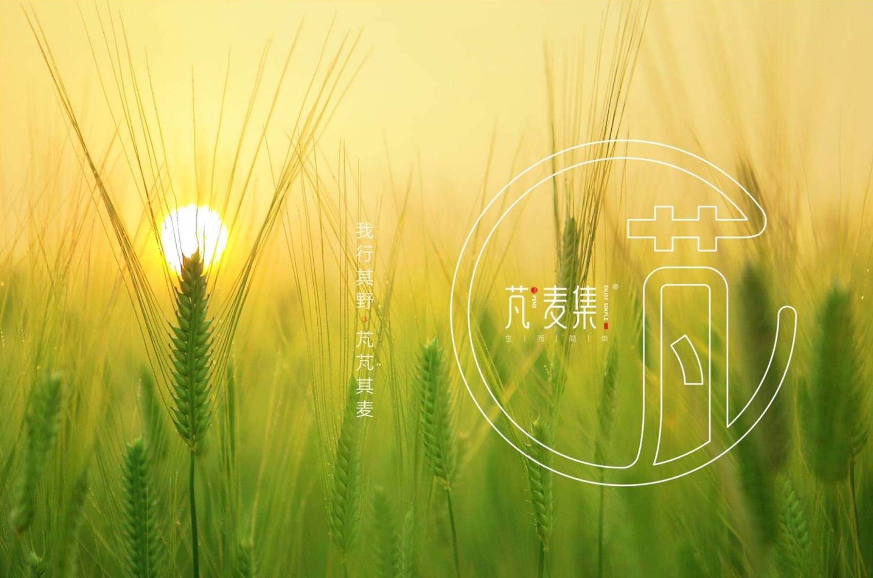 西安品牌策划设计公司,西安品牌设计公司包装插画