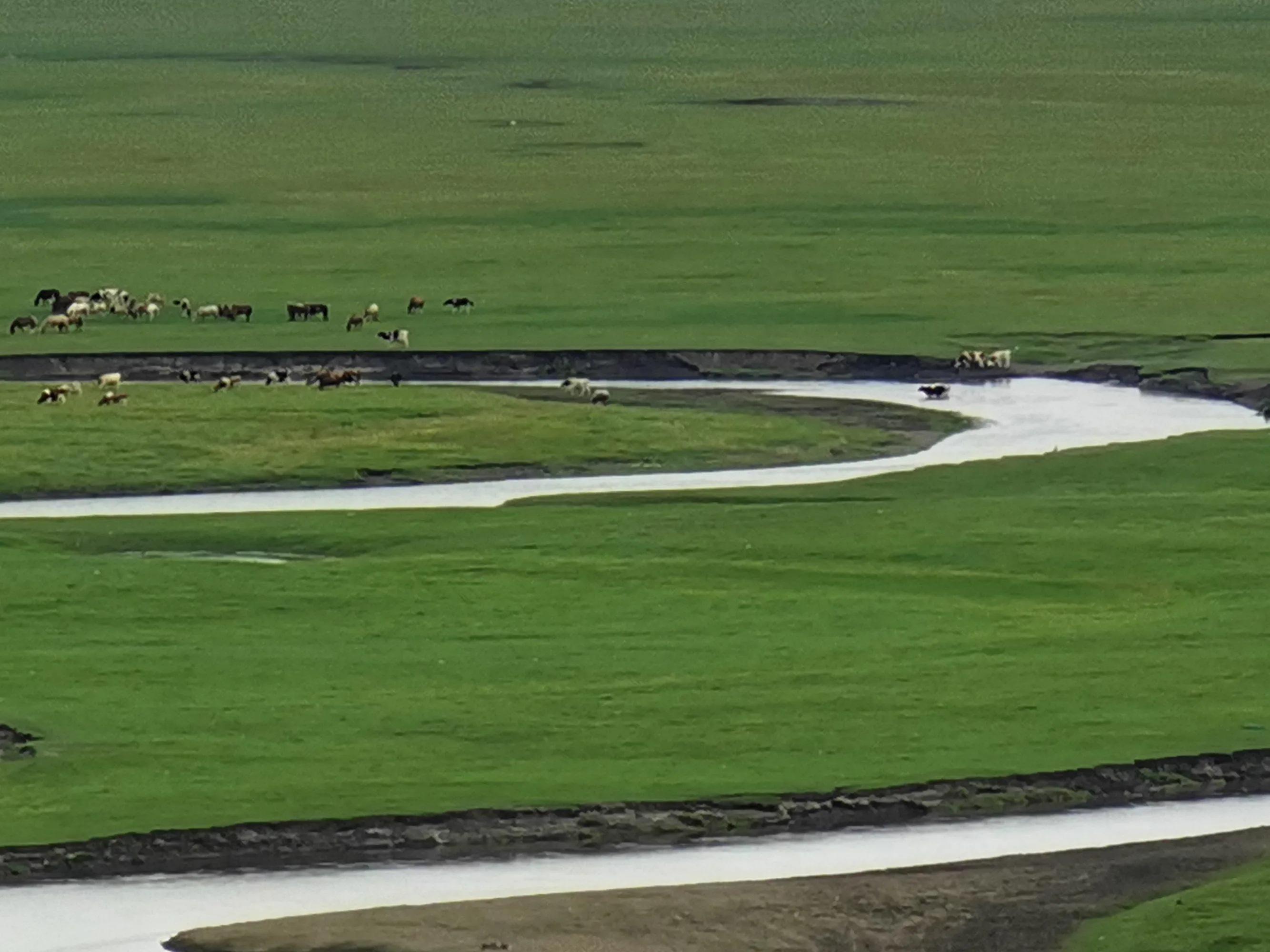 呼伦贝尔六日游自由行攻略 (呼伦贝尔八日游旅游攻略)